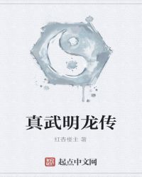 真武明龙传封面