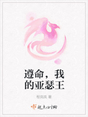 遵命，我的亚瑟王封面