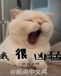 我很凶猛封面