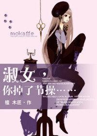 淑女,你掉了节操封面