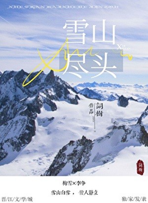 雪山尽头封面