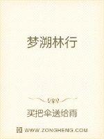 梦溯林行封面