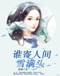 谁寄人间雪满头封面