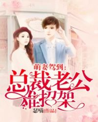 总裁老公难招架封面