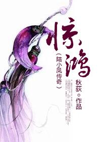 惊鸿（陆小凤传奇）封面