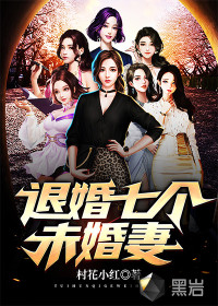 退婚七个未婚妻封面