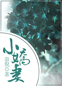 小娇妻封面