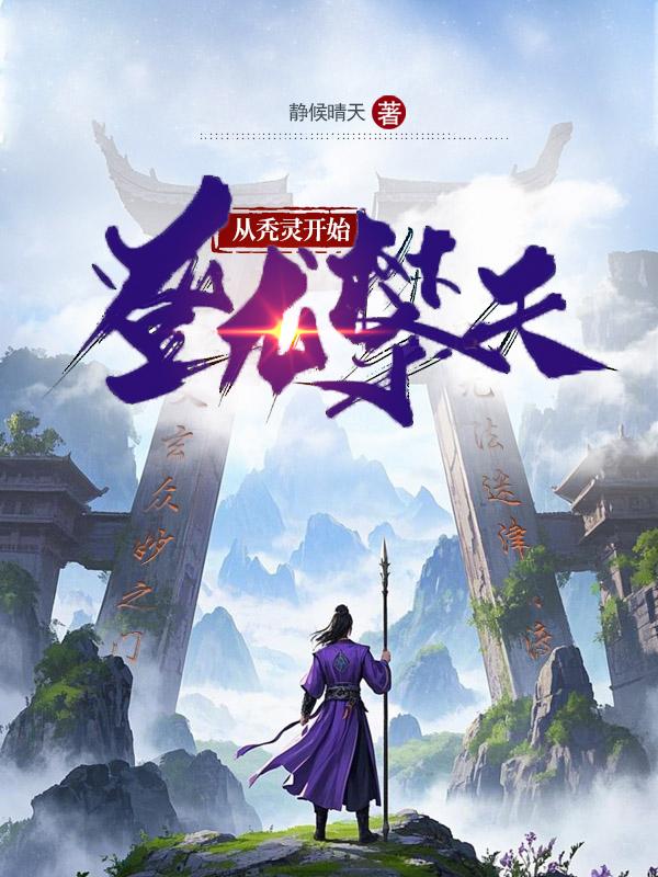 从秃灵开始登龙攀天封面