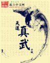 天道真武封面