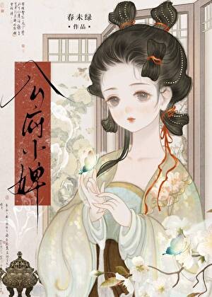 公府小婢封面