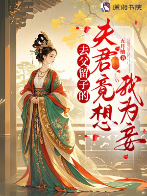 去父留子的夫君竟想我为妾封面