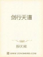 剑行天道封面