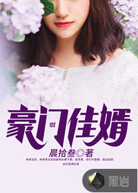 豪门佳婿封面