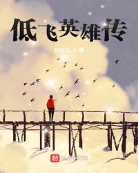 低飞英雄传封面