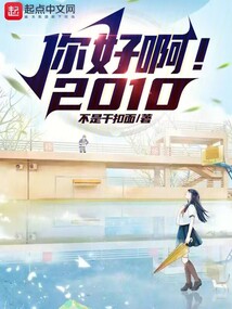 你好啊！2010封面