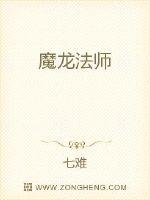 魔龙法师封面