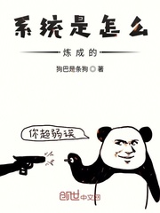 系统是怎么炼成的封面
