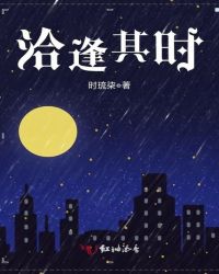 洽逢其时封面