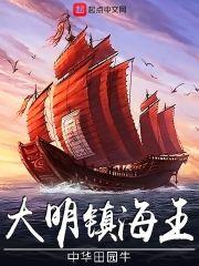 大明镇海王封面