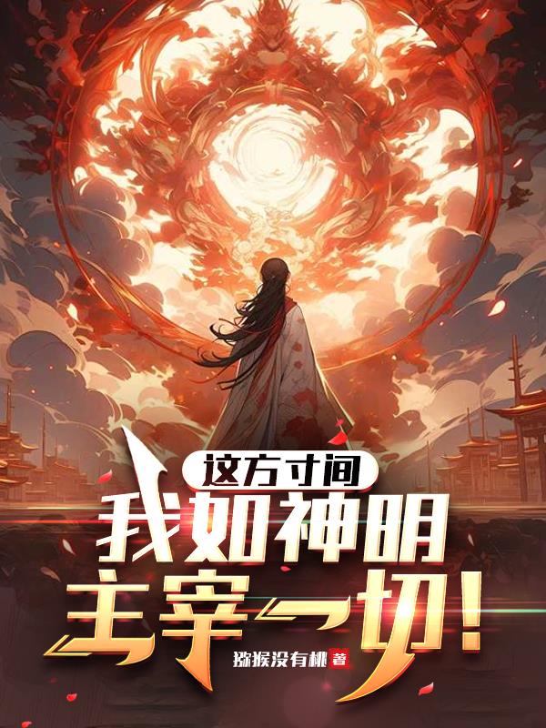 这方寸间,我如神明,主宰一切!封面