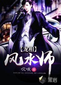 龙相风水师封面