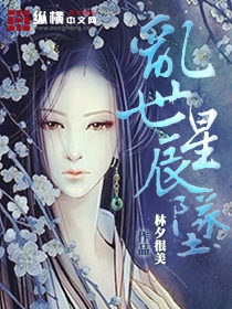 乱世星辰坠封面