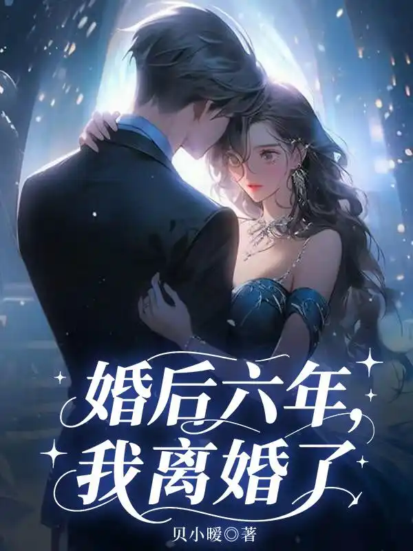 婚后六年，我离婚了封面