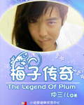 梅子传奇封面