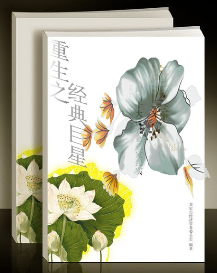 重生之经典巨星封面