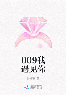 009我遇见你封面