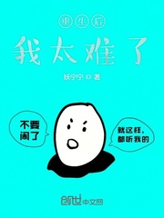 重生后我太难了封面