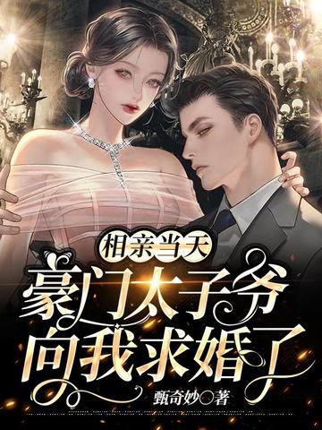 相亲当天,豪门太子爷向我求婚了封面