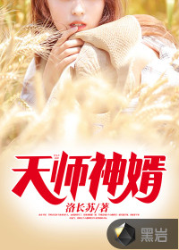 天师神婿封面