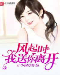 风起时我送你离开封面