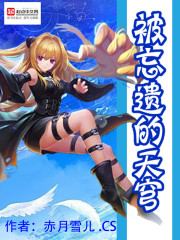 被遗忘的天穹封面