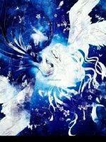 半魂之梦醒时分封面