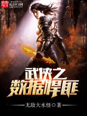 武侠之数据悍匪封面