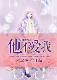 他不爱我封面