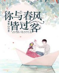 你与春风皆过客封面