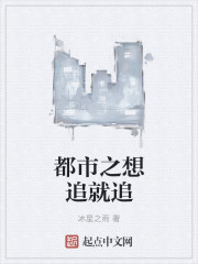 都市之想追就追封面