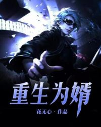 重生为婿封面