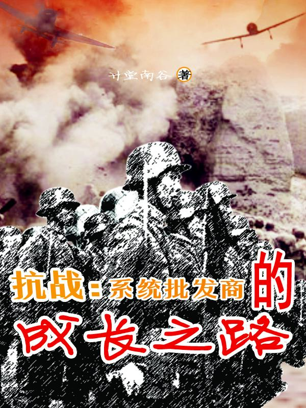 抗战：系统批发商的成长之路封面