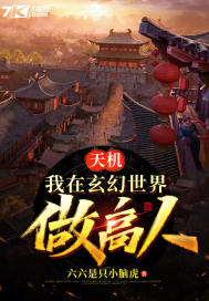 天机：我在玄幻世界做高人封面