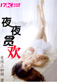 夜夜贪欢封面