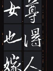 女尊也得嫁人封面