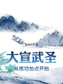 大宣武圣封面