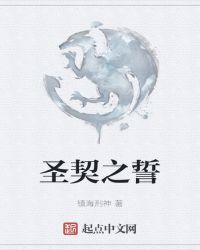 圣契之誓封面