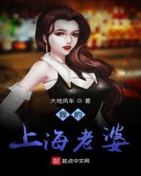 我的上海老婆封面