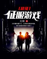 超级征服游戏封面