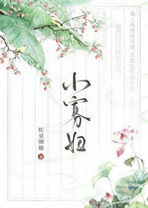 小寡妇封面